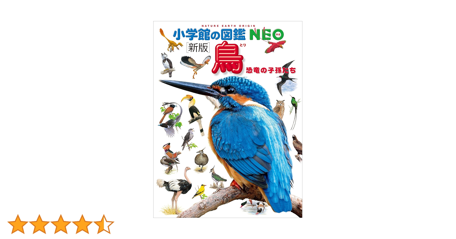 91SJ1O2KfPL.jpg_BO30,255,255,